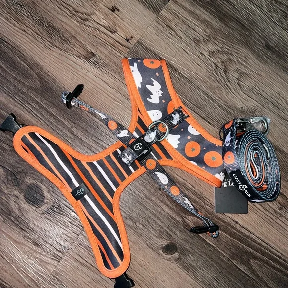 Harness and Leash Set: The Happy Haunting Large Lucy & Co. - Picture 4 of 5